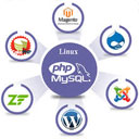 Php Development